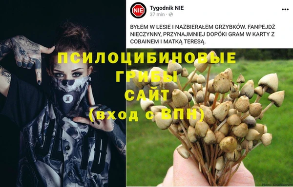крисы Абинск