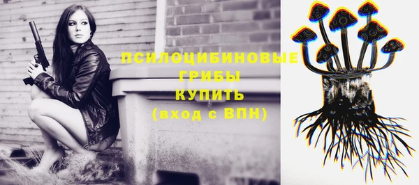 крисы Абинск