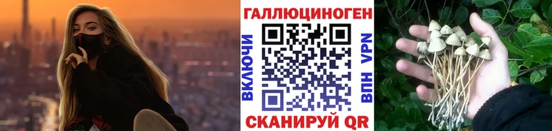 Псилоцибиновые грибы Psilocybine cubensis  цена наркотик  Суоярви 